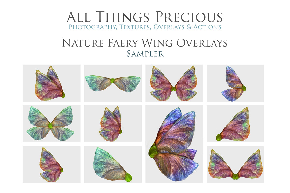 Fairy Wing Overlays For Photographers, Photoshop, Digital art and Creatives. Butterfly fairy wings, Png overlays for photoshop. Photography editing. High resolution, 300dpi. Overlay for photography. Digital stock and resources. Graphic design. Wings for Photos. Colourful Faerie Wings. Overlays for Edits.